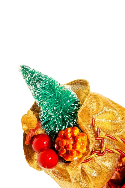 Christmas bag — Stockfoto