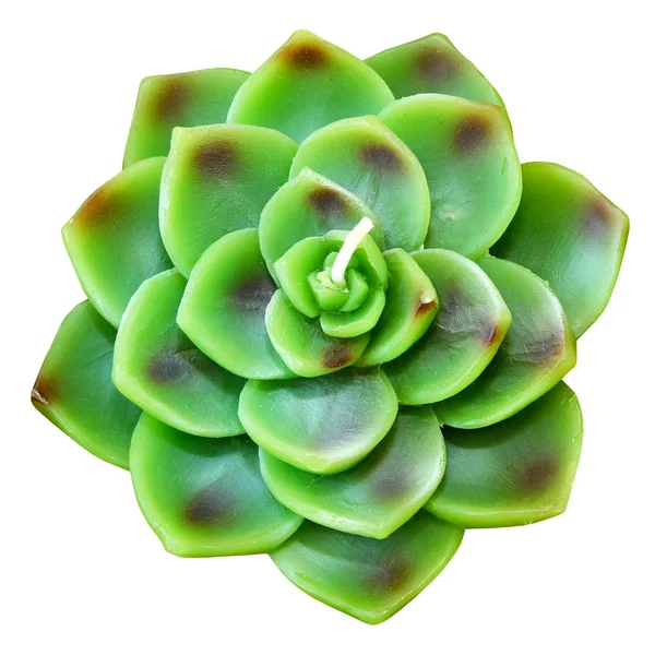 Yeşil lotus mum — Stok fotoğraf
