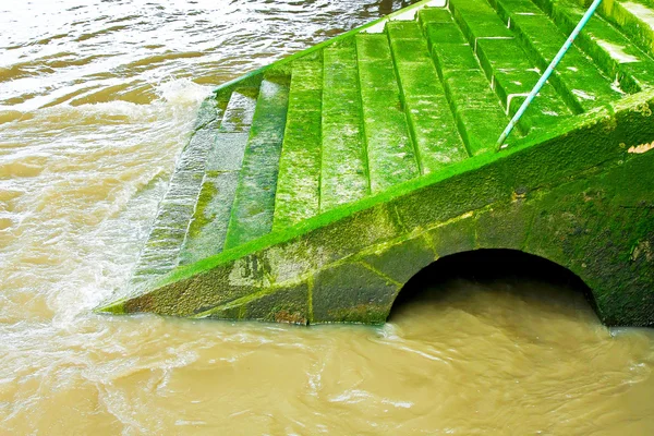 Escalera verde —  Fotos de Stock