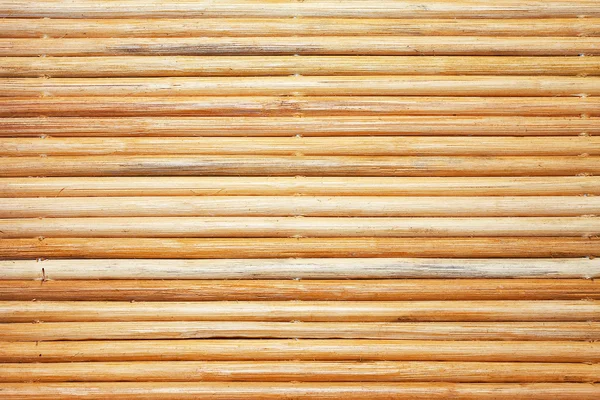 Bambu desen — Stok fotoğraf