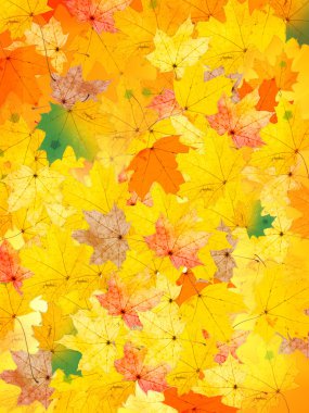 Autumnal leaves clipart