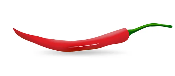 Chili pepper — Stock Vector