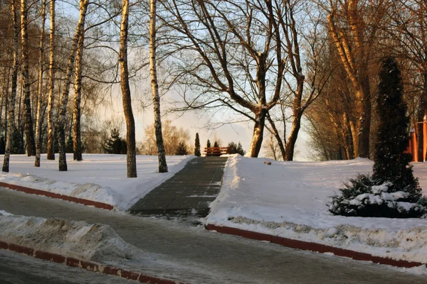 Kış park