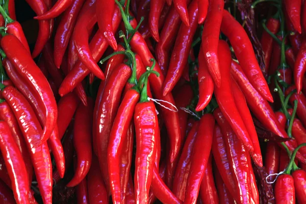 stock image Red Pepper