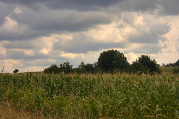 Agricultural plains — Stock Photo, Image