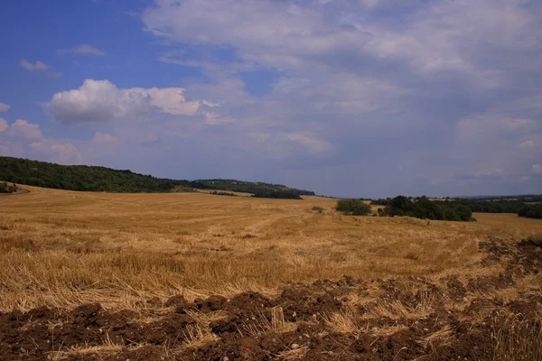Сельскохозяйственные равнины — стоковое фото