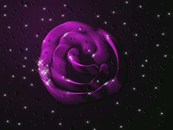 Violette Rose — Stockfoto