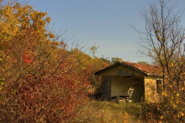 sonbahar ormandaki yıkık ev