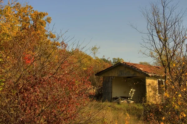 Зруйнований будинок в осінньому лісі — стокове фото