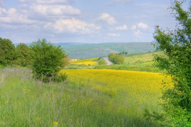 Agricultural plains clipart