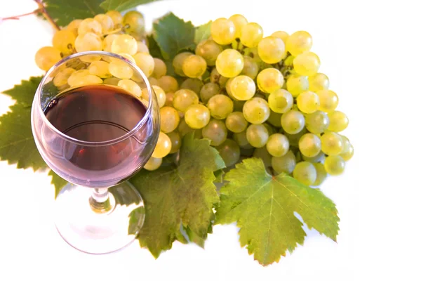 şarap ve üzüm