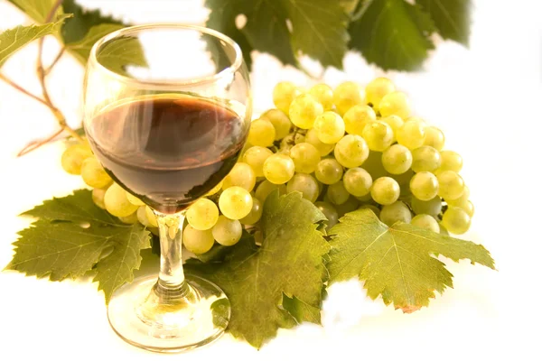 stock image Wine and grape