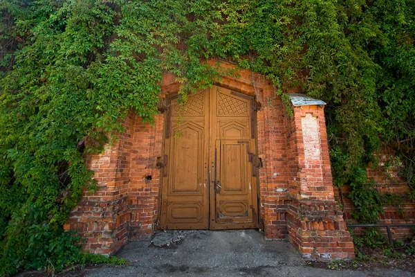 stock image Old door