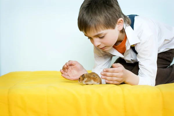 The boy and the pet — Stock Photo, Image