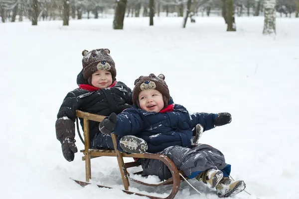 Twin brothers in the sled — Stock Photo, Image