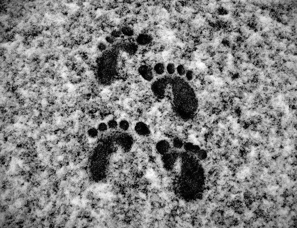 stock image Footprints in the Snow 1