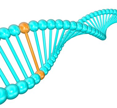 DNA iplikçik bir benzersiz helix ile