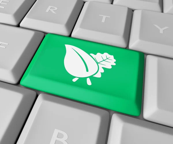 Bilgisayar klavye üzerinde yeşil yaprak — Stok fotoğraf
