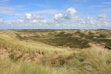 Dunes