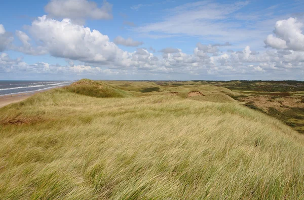 stock image Coastline of the North sea