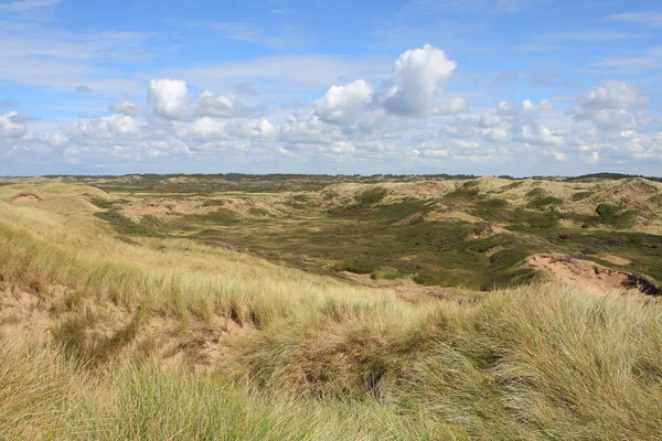 stock image Dunes