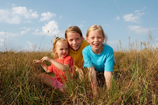 풀밭에 아이 들 — 스톡 사진