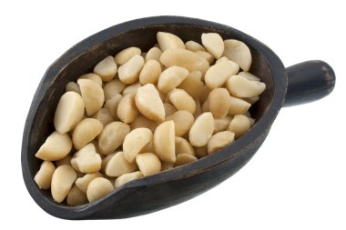 Scoop of macadamia nuts clipart