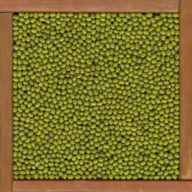 Mung beans background clipart