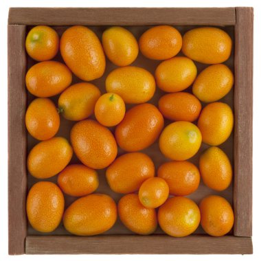 kumquats rustik, tahta bir kutu içinde