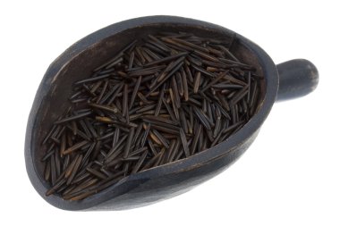 Scoop of wild rice clipart