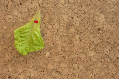 yeşil ya da sağlıklı beslenme hatırlatma gidin