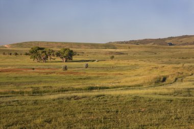 Irrigated meadow at Colorado foothills clipart