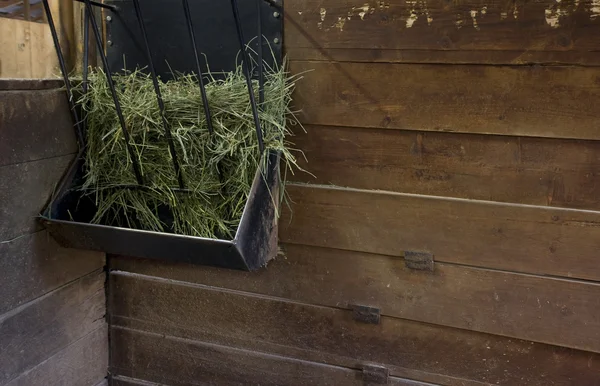 Hay feeder in a stable stall — Stock Photo, Image