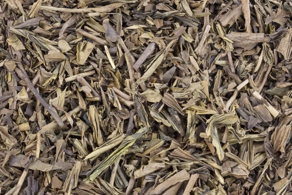 Tè verde giapponese arrosto — Foto Stock