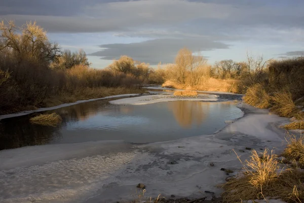 Маленькая река частично замерзла на закате — стоковое фото