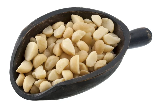 Scoop of macadamia nuts — Stock Photo, Image