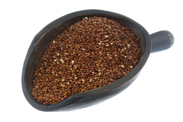 Kaşık kırmızı quinoa tahıl — Stok fotoğraf