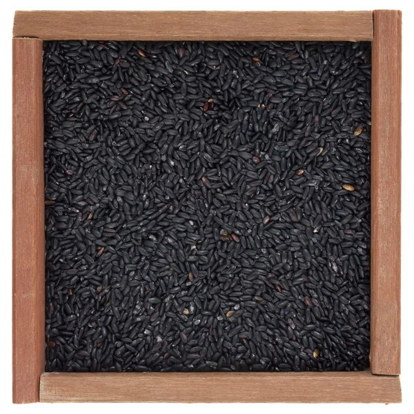 Čínské černé zakázané rýže — Stock fotografie