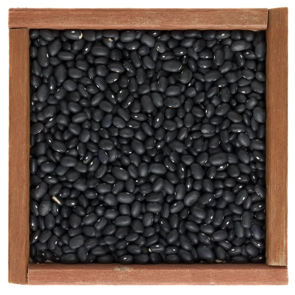 Black turtle beans in a wooden box — Stock Photo, Image
