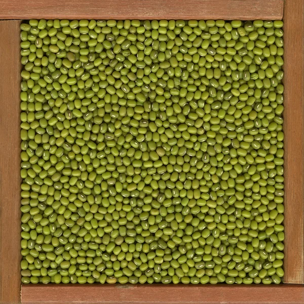 旺角豆的背景 — 图库照片
