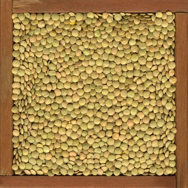 豆の背景 — ストック写真