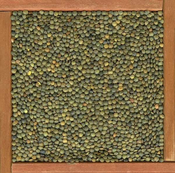 Francês verde lentilhas fundo — Fotografia de Stock