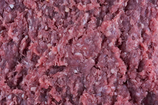 Ground bison (buffalo) meat — Stock Photo, Image