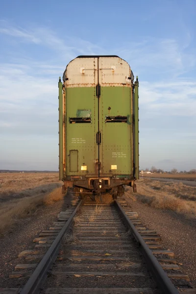 Skladem železniční vagón, přeprava zvířat — Stock fotografie