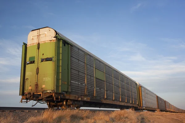 Trein van voorraad treinwagons voor auto vervoer — Stockfoto