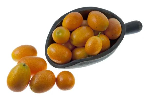 Rustic scoop of kumquats — Stock Photo, Image