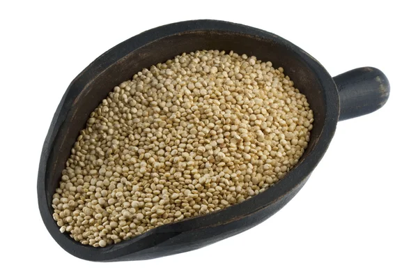 キノア穀物のスクープ — ストック写真