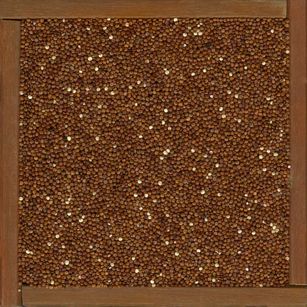 Red quinoa grain background — Stock Photo, Image