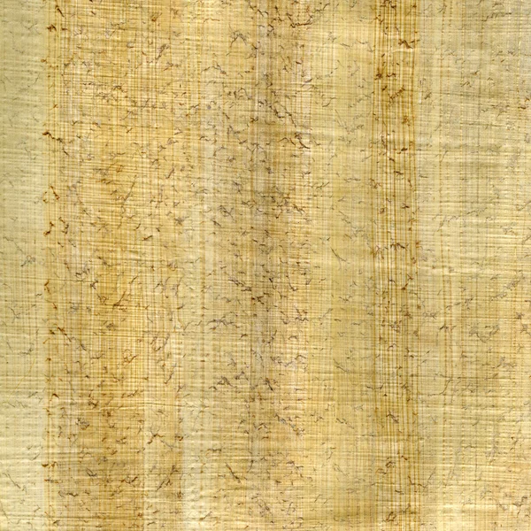 Papyruspapier Hintergrund — Stockfoto