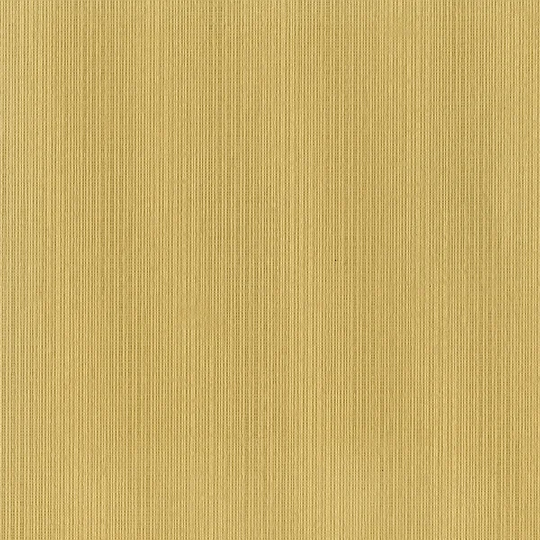 Texture du papier beige — Photo